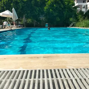 Begonvil , Antalya Türkiye